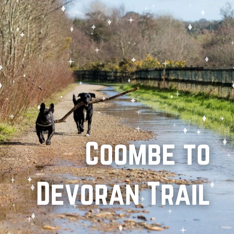 Coombe to Devoran Trail