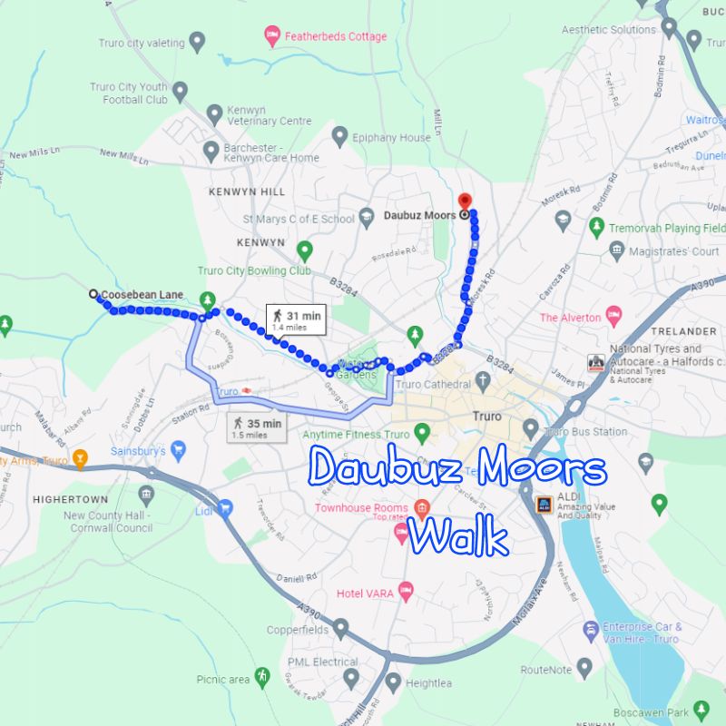 Daubuz Moors Walk