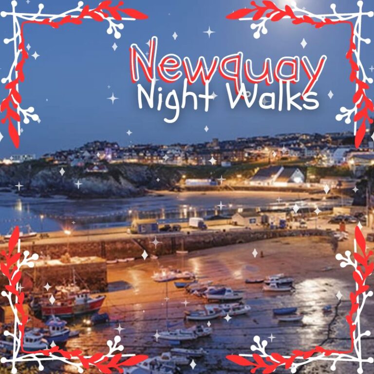 Newquay's Night Walks Walking the Coastline Under the Stars
