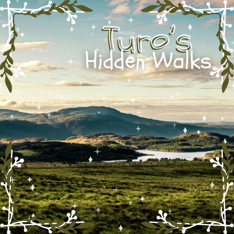 The Ultimate Guide to Truro's Hidden Walks