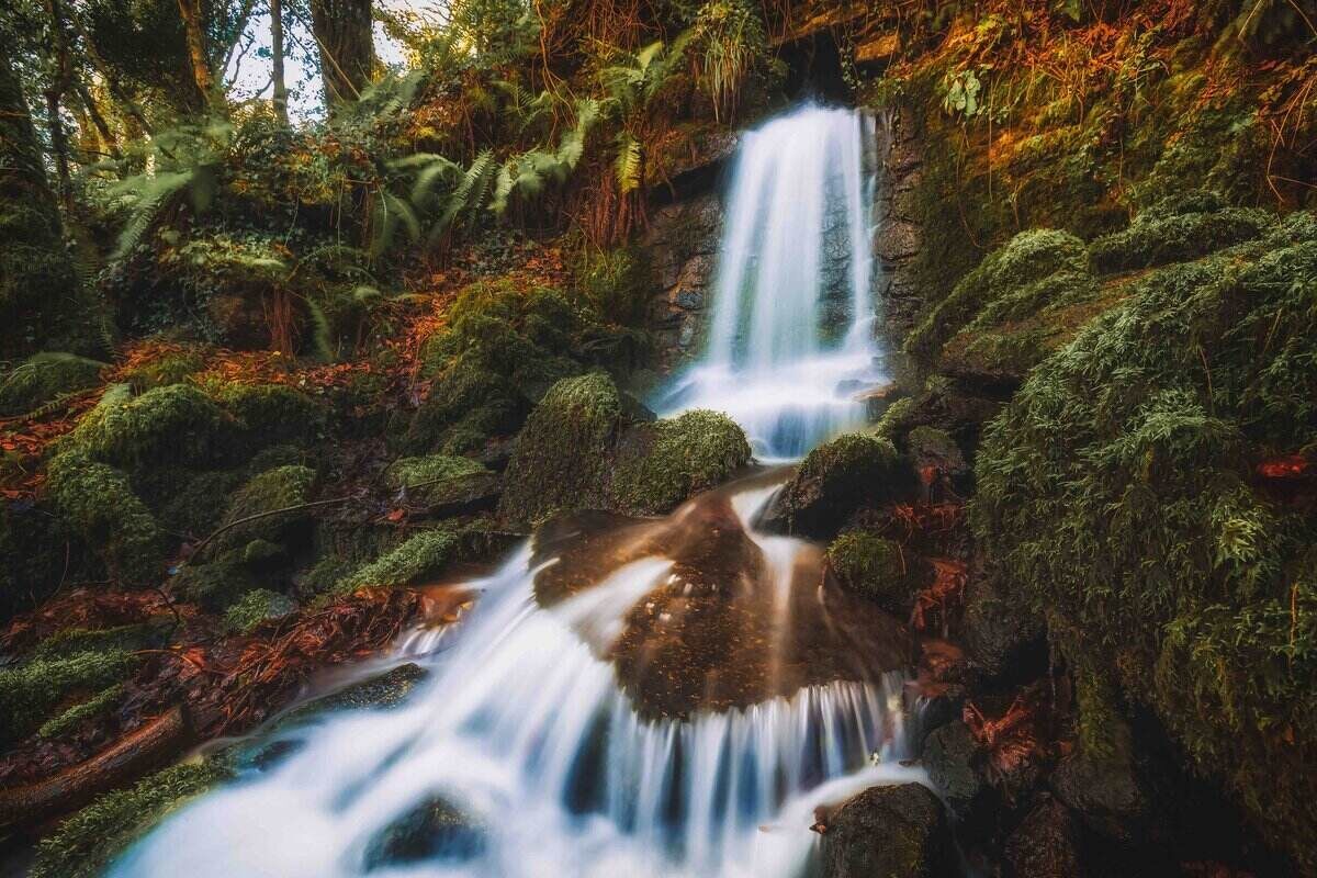 Discover secret waterfalls in Cornwall for a peaceful escape.