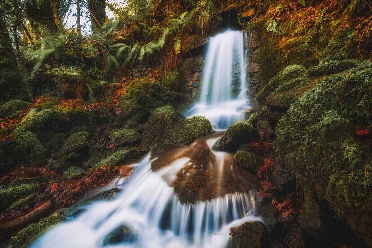 Discover secret waterfalls in Cornwall for a peaceful escape.